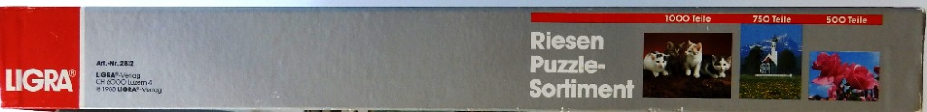 Riesen Puzzle Sortiment