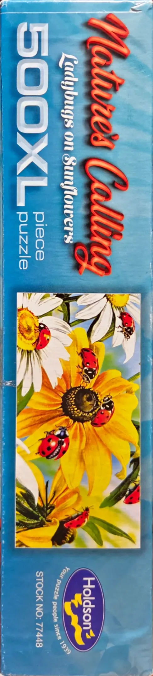 Ladybugs on Sunflowers