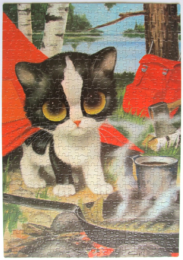 A black and white kitten with large golden eyes sits by a campfire in a forest setting.