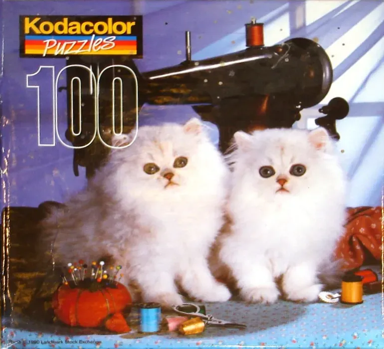 Two fluffy white kittens sitting in front of a vintage sewing machine with sewing supplies.
