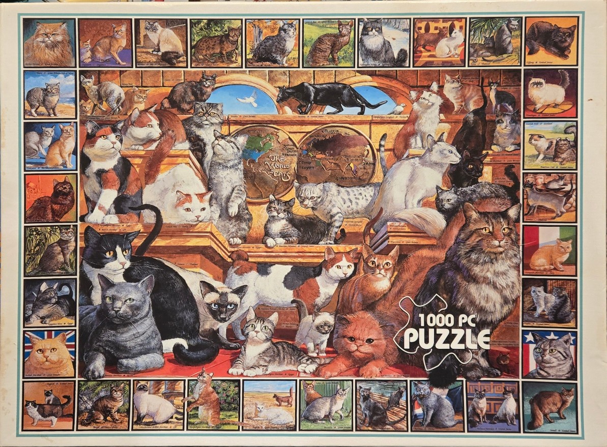 A collage of various cat breeds surrounding a central world map featuring a globe and many feline portraits.