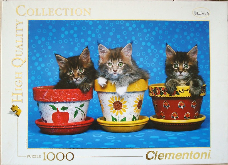 Three fluffy kittens peeking out of three colourful painted flower pots against a blue background.