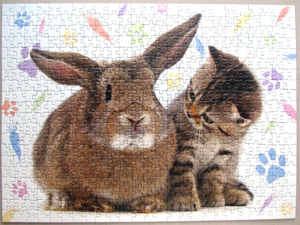 A brown rabbit and a small tabby kitten sitting side-by-side against a background of pastel carrots and paw prints.
