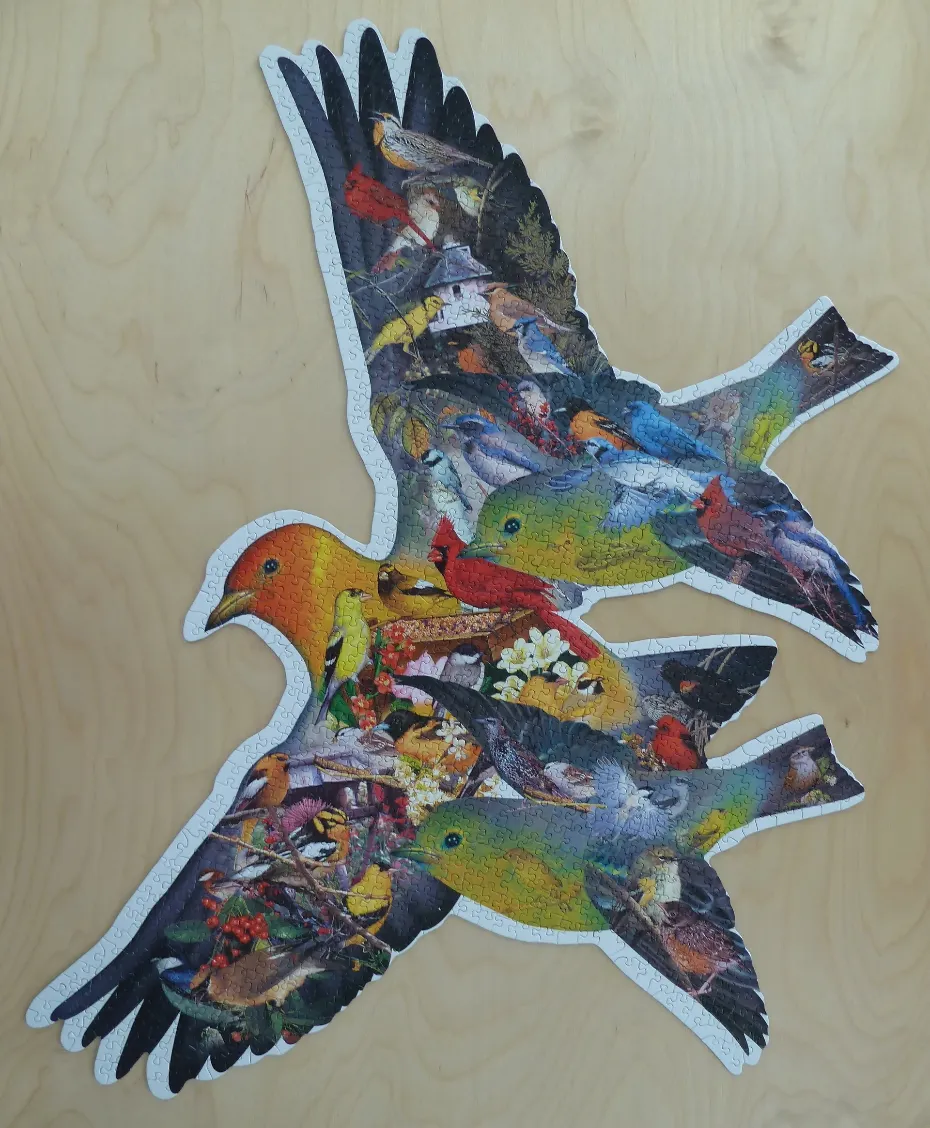 A shaped image featuring two silhouettes of large birds filled with a mosaic of various smaller birds and nature scenes.