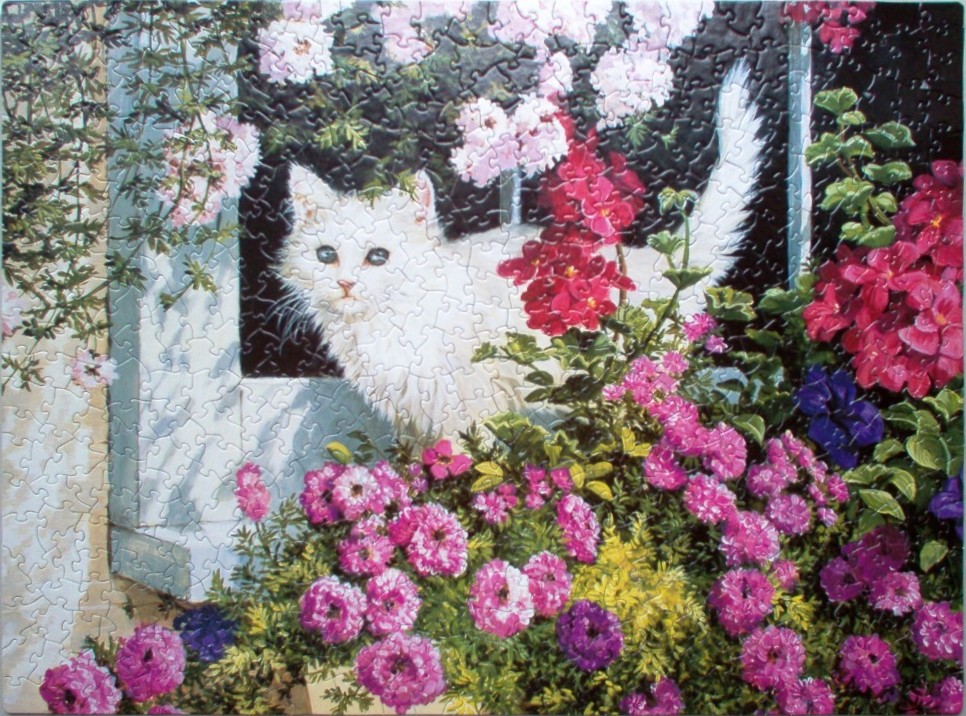 A fluffy white cat peering out of a window surrounded by vibrant pink and red flowers.