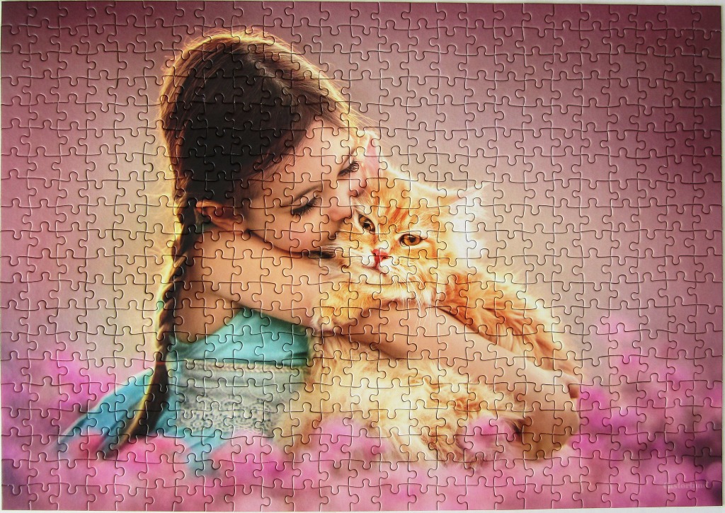 A young girl with braids affectionately hugging a fluffy ginger cat against a soft pink backdrop.