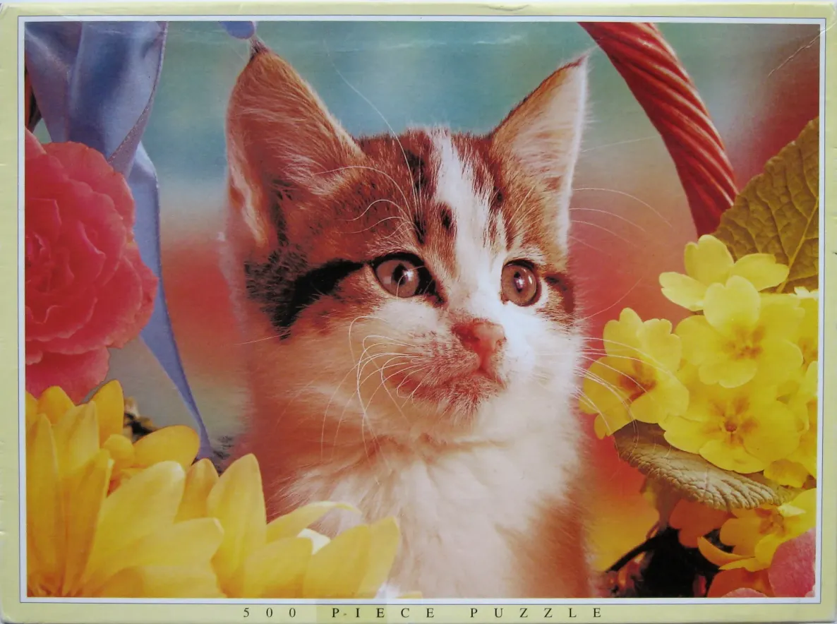A close-up photograph of a fluffy tabby kitten sitting inside a basket surrounded by vibrant yellow and pink flowers.