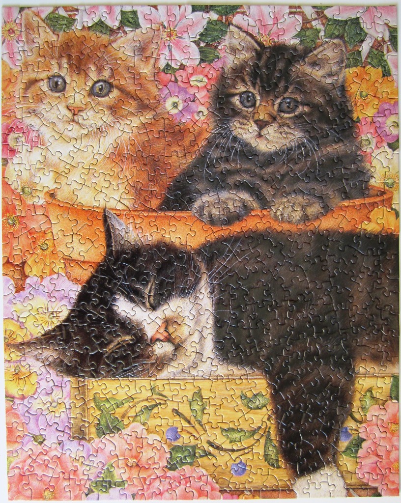 Three kittens resting in wooden planters surrounded by pink and yellow flowers