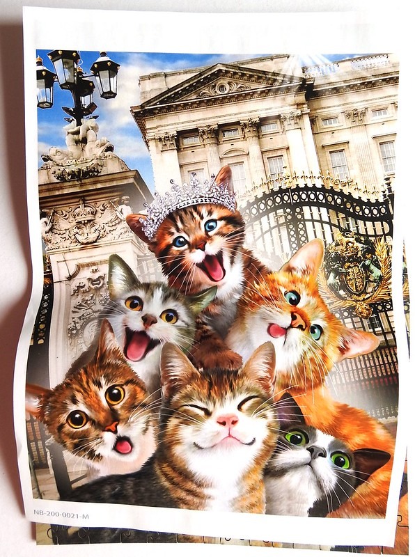 A group of six adorable cats posing for a selfie in front of a grand palace gate.