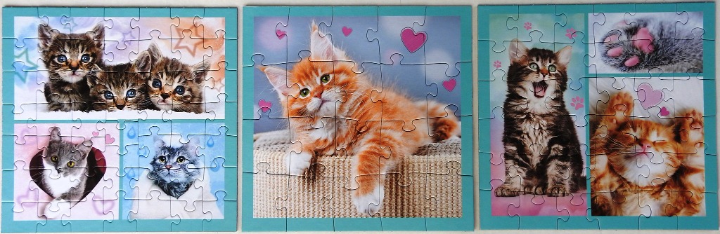 Three square panels featuring various playful kittens in studio-style photography with hearts and stars.