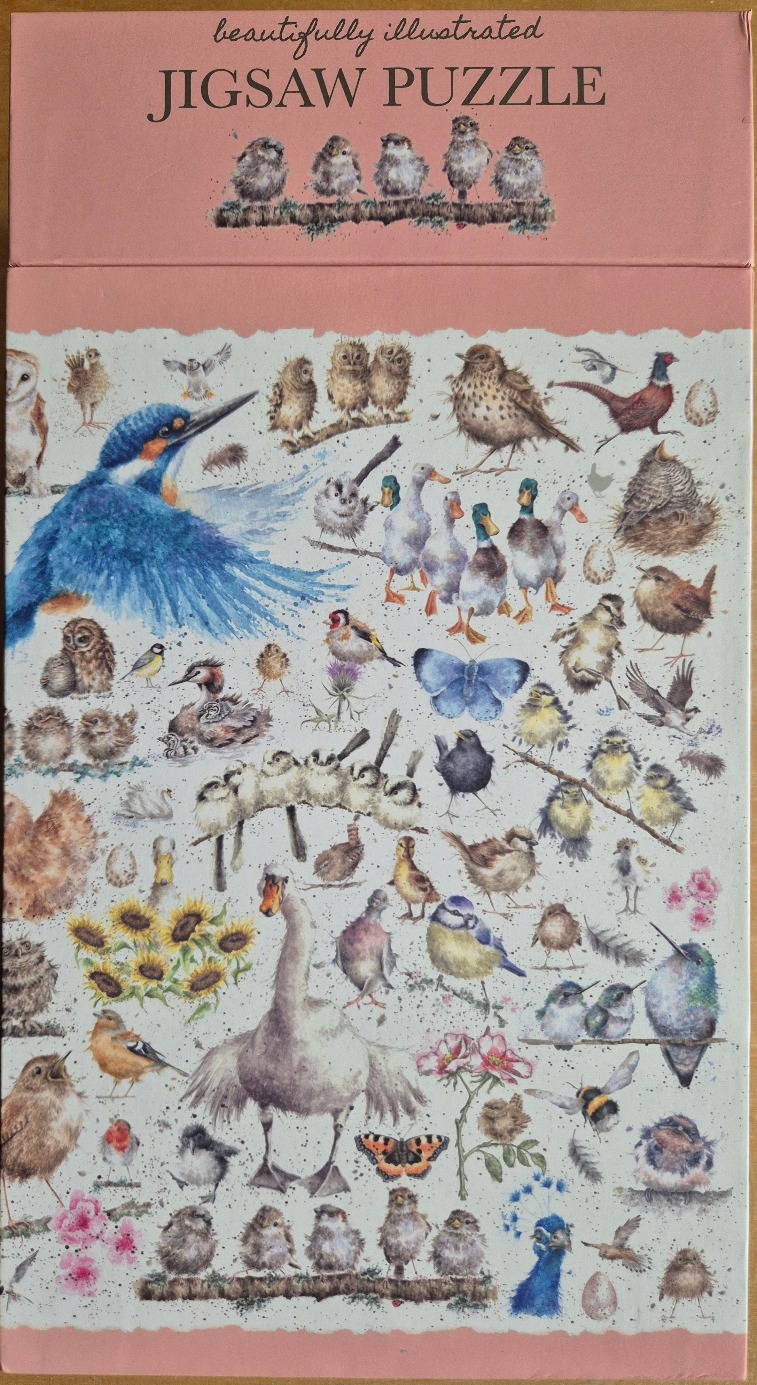 An illustration featuring a wide variety of birds, butterflies, and insects in a watercolor style.
