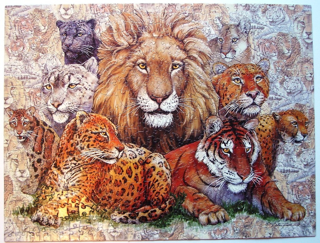 A montage of various large wild cats including a lion, tiger, leopard, and others.