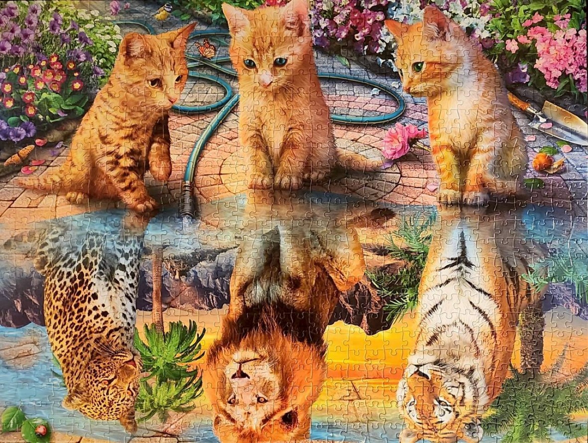 Three ginger kittens sitting in a garden, with reflections in a pool appearing as a leopard, a lion, and a tiger.
