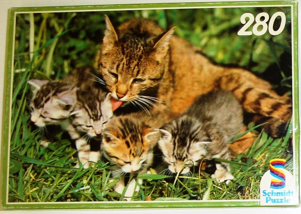 A mother tabby cat grooming three small kittens in tall green grass.