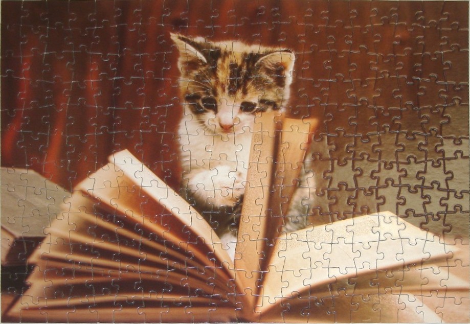 A small calico kitten peering curiously over the pages of an open vintage book.