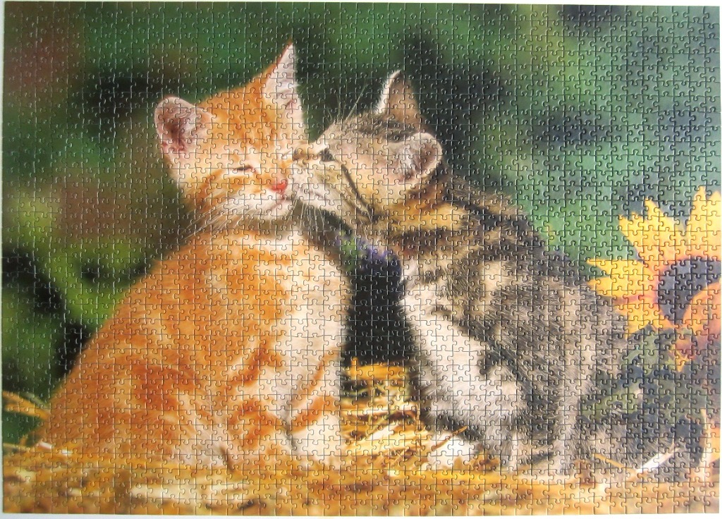 Two kittens, one orange tabby and one grey tabby, nuzzling together in a grassy field with a sunflower.