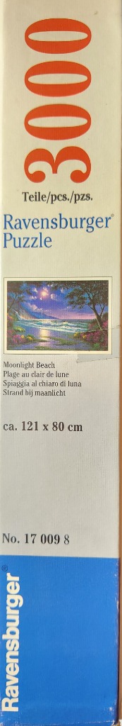 Moonlight Beach scene with a serene ocean, moonlit sky, and lush trees.