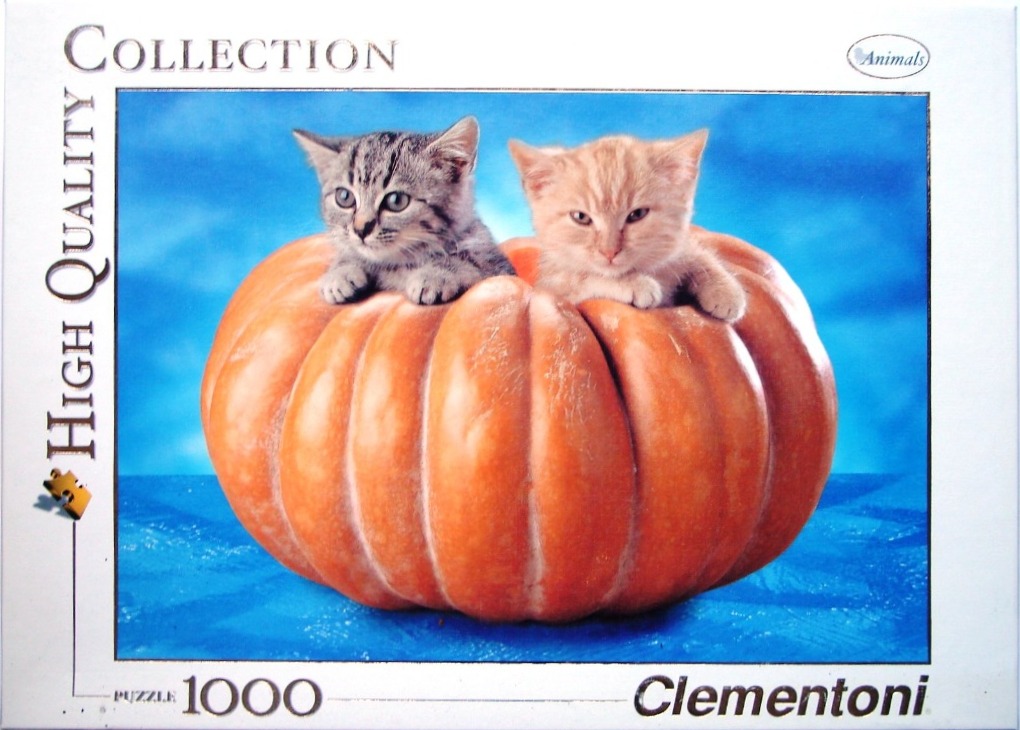 Two kittens, one grey tabby and one ginger, sitting inside a large orange pumpkin against a blue background.