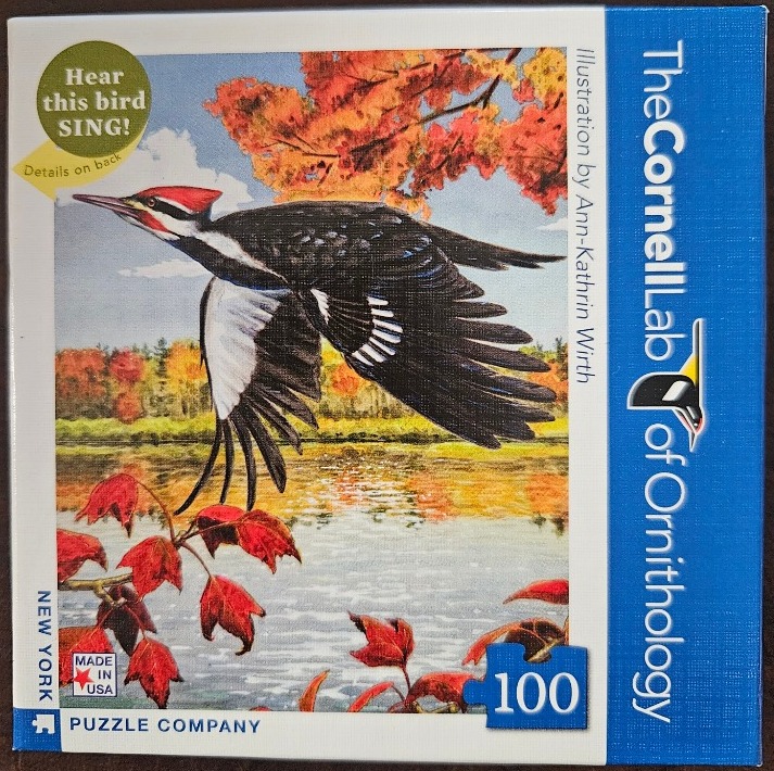 A pileated woodpecker in flight over a calm lake framed by autumn foliage.