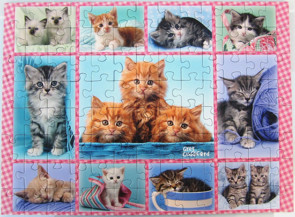 A collage of twelve kittens in various poses and settings arranged in a grid, bordered by a red and white checkered pattern.