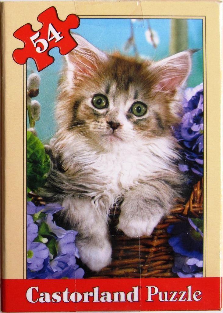 A fluffy, long-haired tabby kitten with green eyes sitting in a wicker basket with purple flowers.
