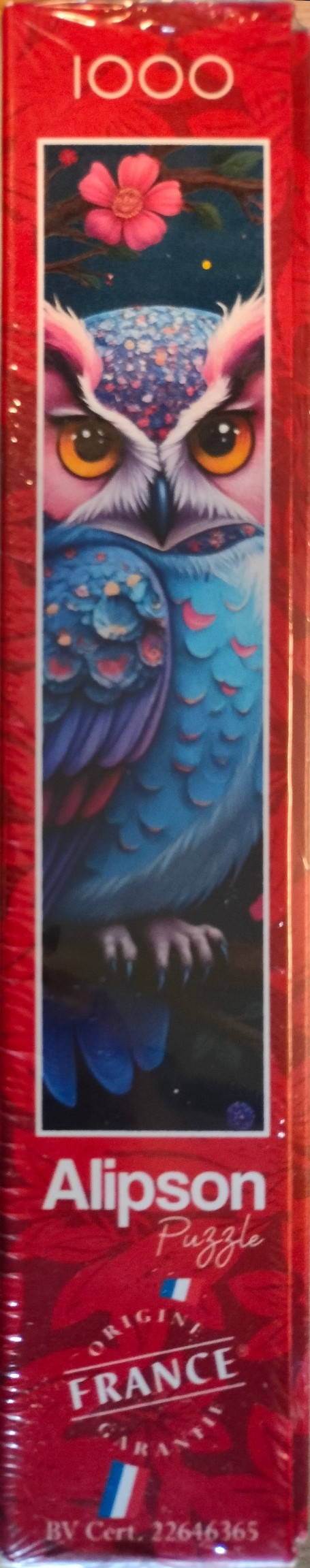 Hiboux Et Nuit Enchantée