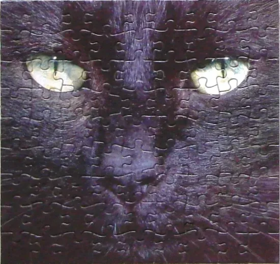 Close-up portrait of a black cat with glowing green eyes