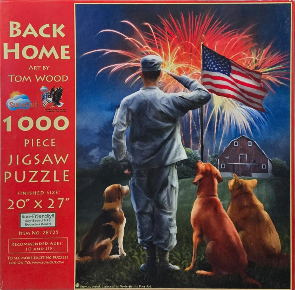 A soldier standing with his back to the viewer and saluting an American flag, with three dogs and fireworks in the sky.