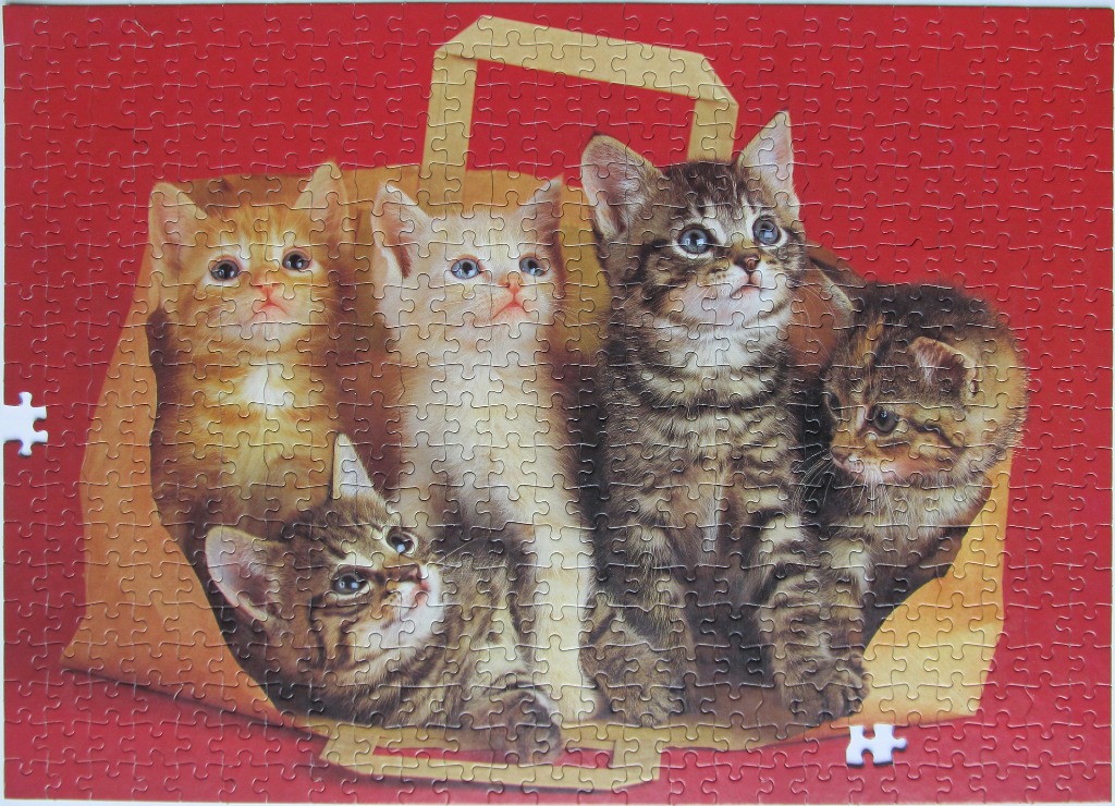 Four kittens sitting inside a tan paper shopping bag against a vibrant red background.