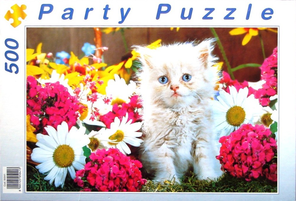 A fluffy cream-colored kitten sitting amidst a vibrant garden of white daisies and bright pink flowers.