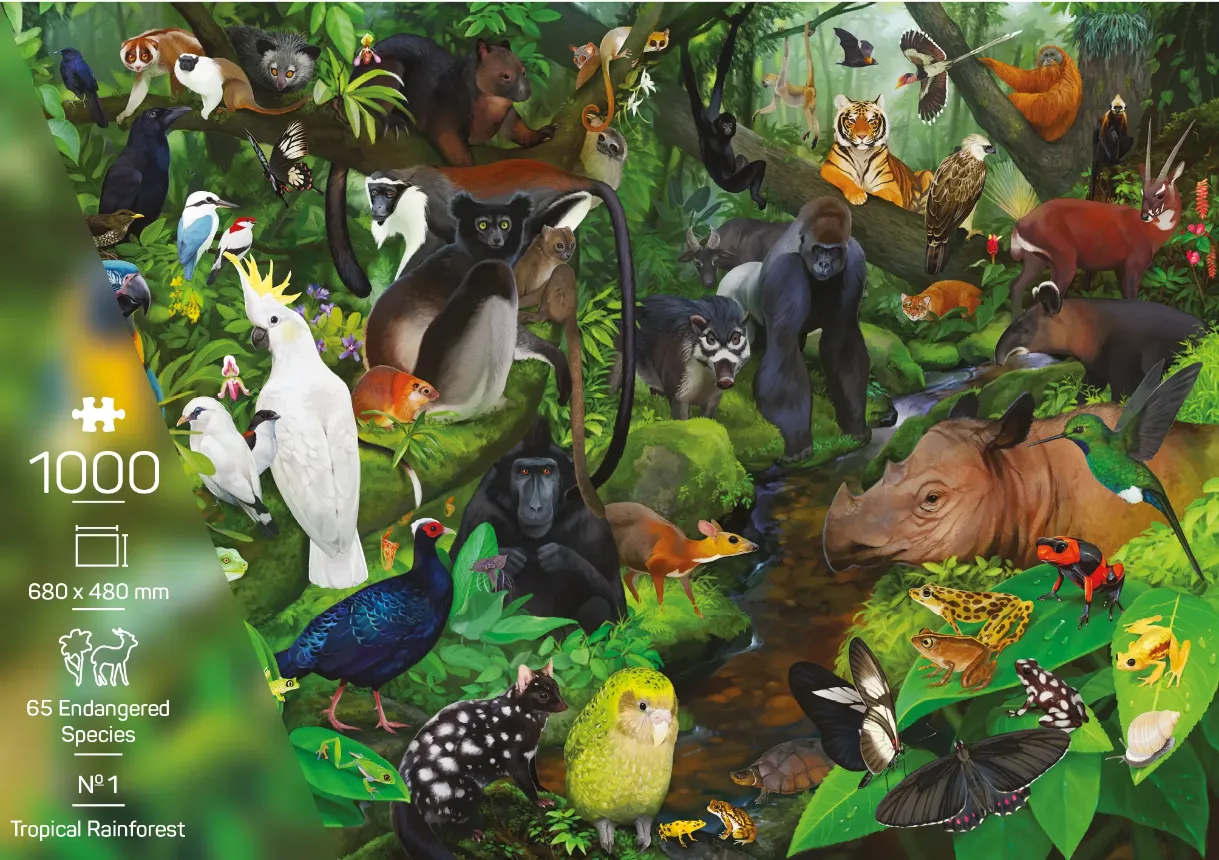 Tropical Rainforest