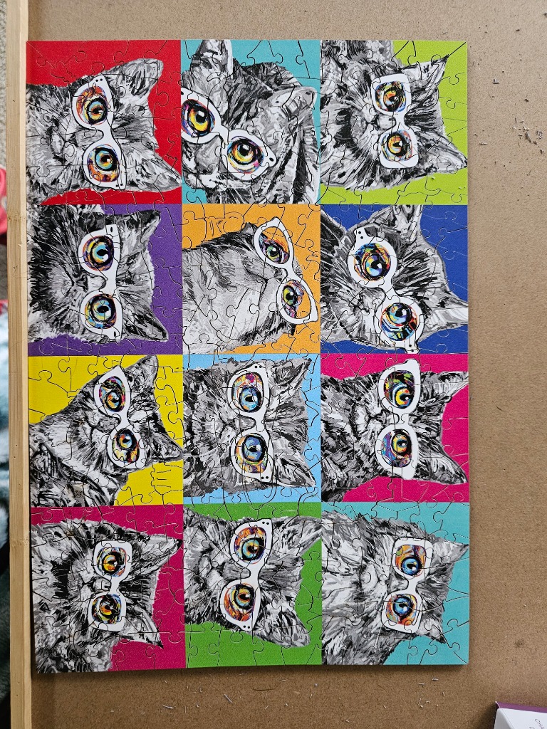 A grid of 12 stylized black and white cat portraits wearing colorful glasses, each set against a vibrant solid-colored square
