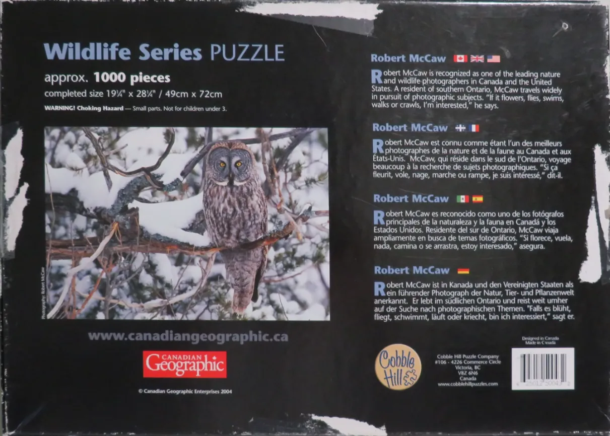 Great Grey Owl