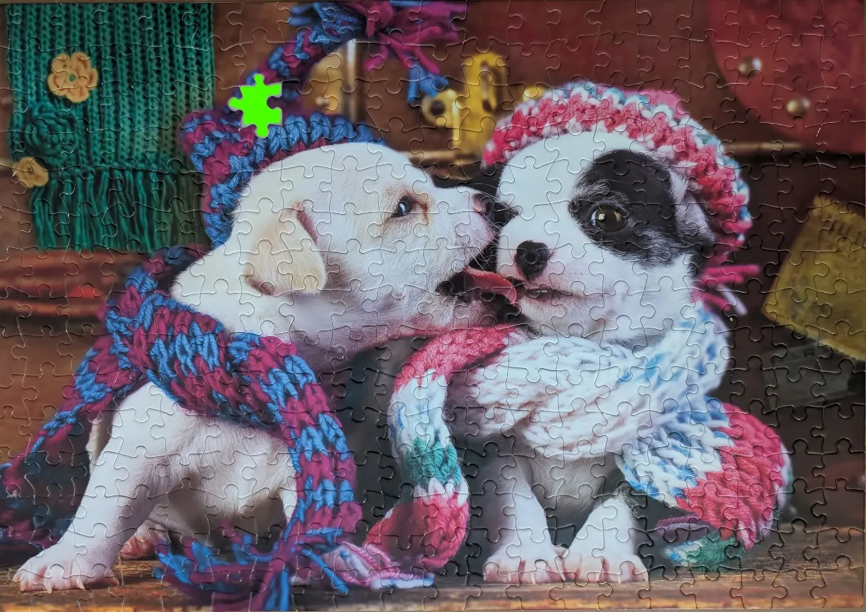 Two small puppies wearing knit winter hats and scarves.