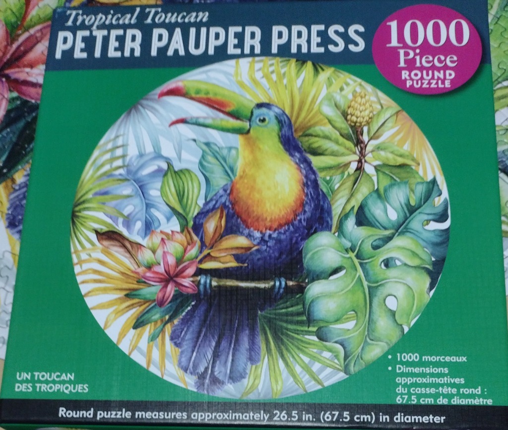 A vibrantly colored illustration of a toucan perched among tropical leaves and flowers.