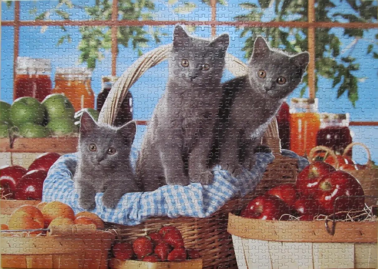 Three grey kittens sitting in a wicker basket surrounded by fruit and jars.
