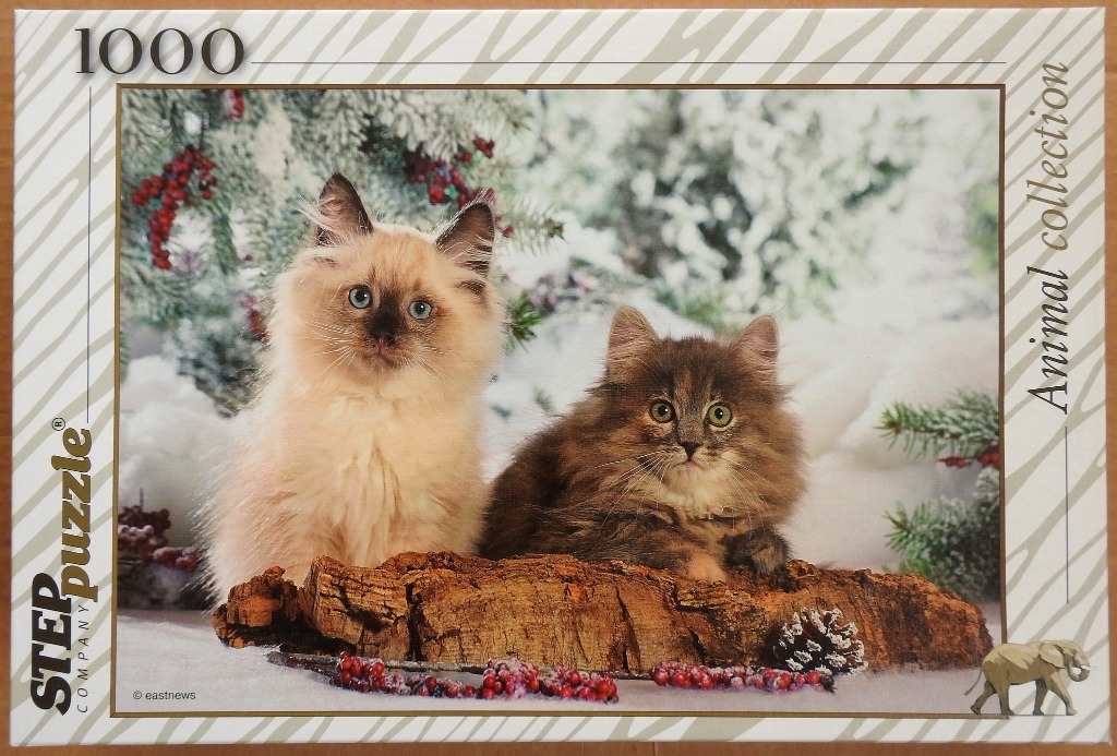 Two fluffy kittens sit on a log against a wintry Christmas-themed background.