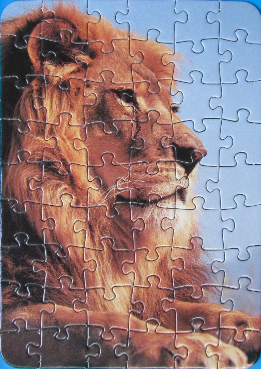 A close-up photographic portrait of a male lion looking towards the right side of the frame against a pale blue sky.