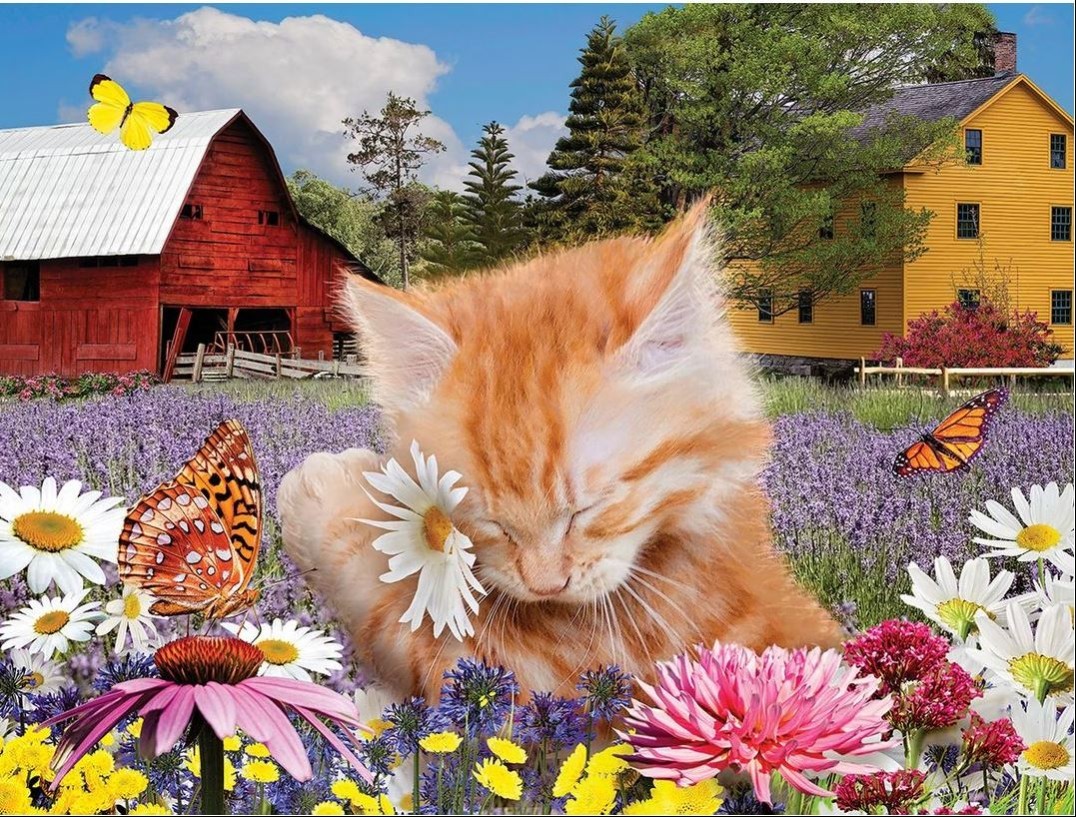 A fluffy orange kitten sleeping among flowers in a sunny farmyard scene with butterflies and barns in the background.