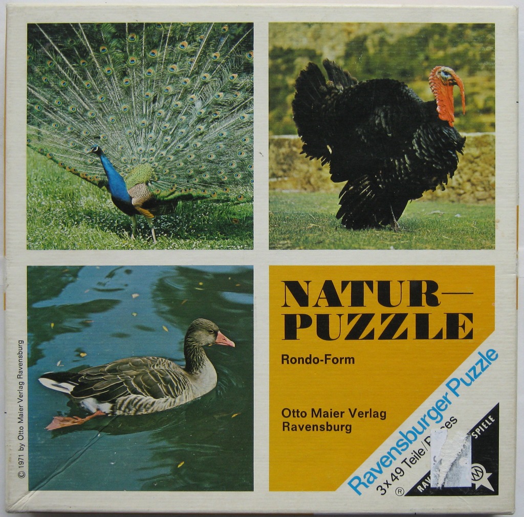 Three photographs of birds: a peacock with tail fanned, a black turkey, and a goose swimming in water.