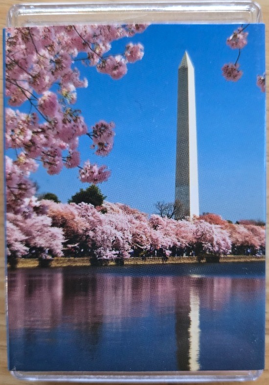 The Washington Monument surrounded by blooming pink cherry blossoms reflected in the Tidal Basin.