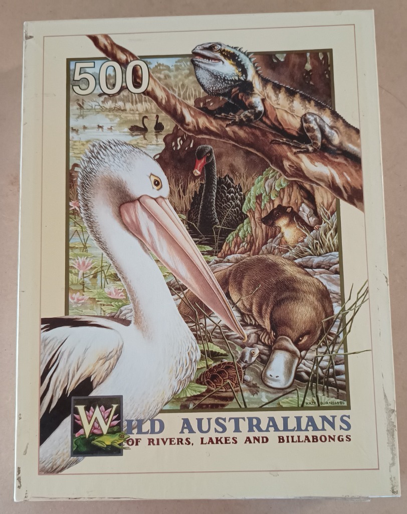 Illustration of Australian wildlife including a pelican, platypus, lizard, and black swan in a river setting.