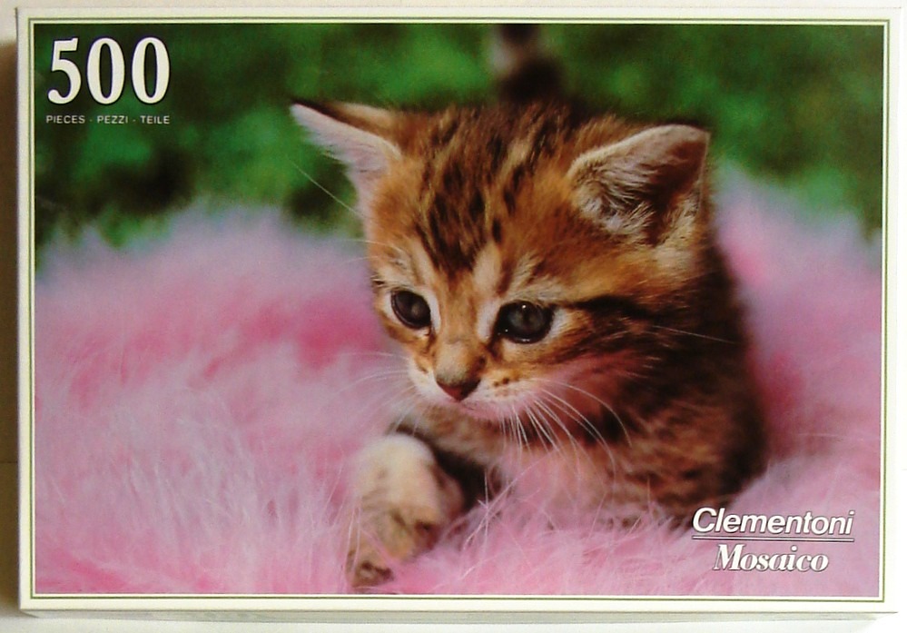 A close-up photograph of a fluffy tabby kitten resting on a soft pink feathered surface.
