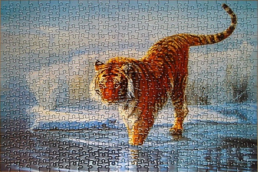 A majestic tiger walking through a snowy, icy landscape.