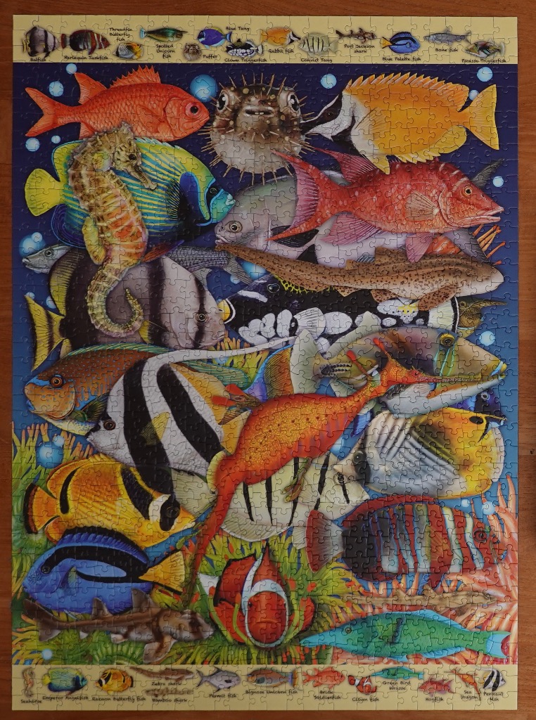 Vibrant coral reef with diverse, colorful fish, including a seahorse and a dragonfish.