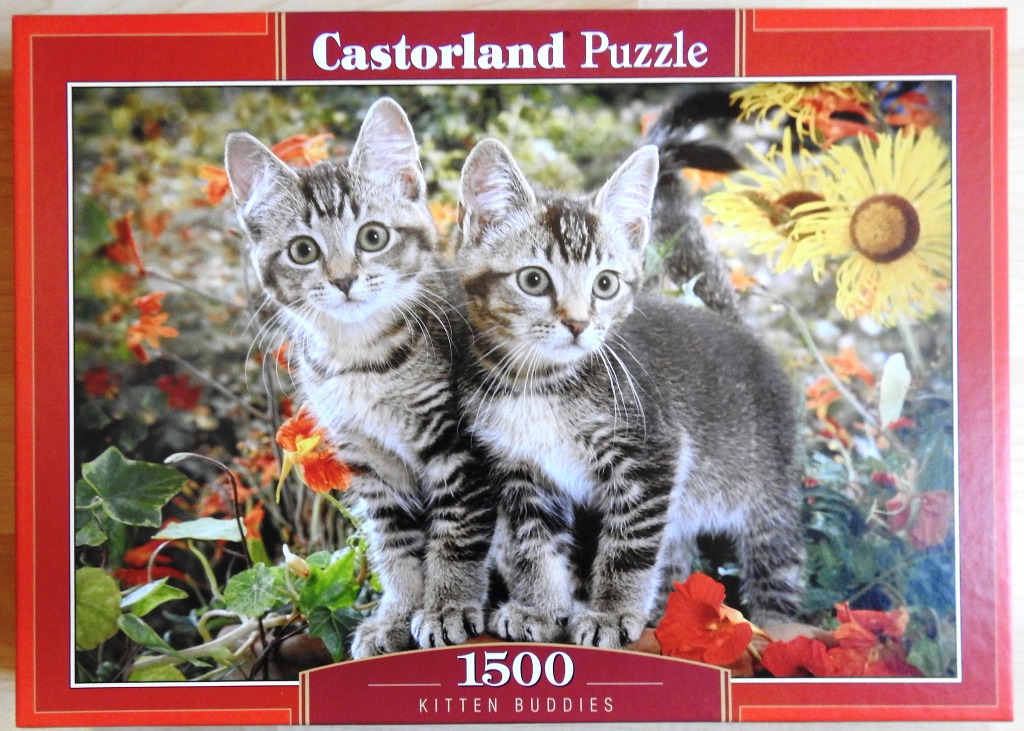 Two tabby kittens standing together in a lush garden filled with orange and yellow flowers.