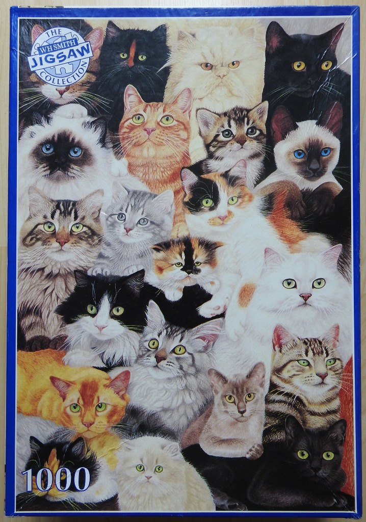 A dense collage of numerous domestic cats of various breeds and colours, gazing in different directions.