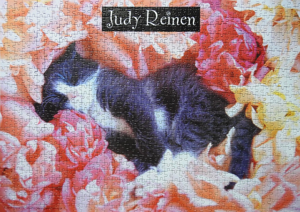 A black and white cat resting amidst a field of vibrant red and orange flowers.