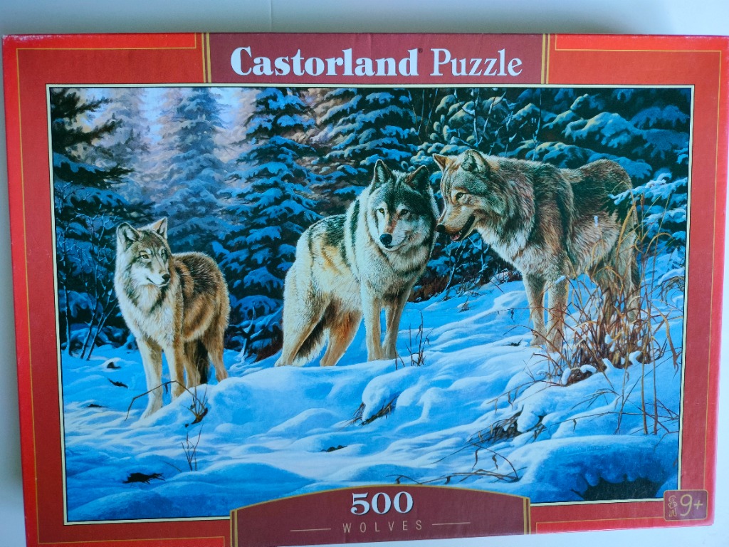 A pack of three wolves standing in a snowy forest at dusk.