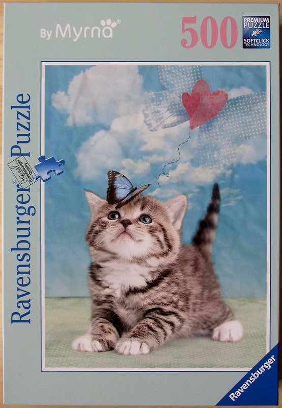 A fluffy tabby kitten looking up at a blue butterfly resting on its head against a blue sky background.